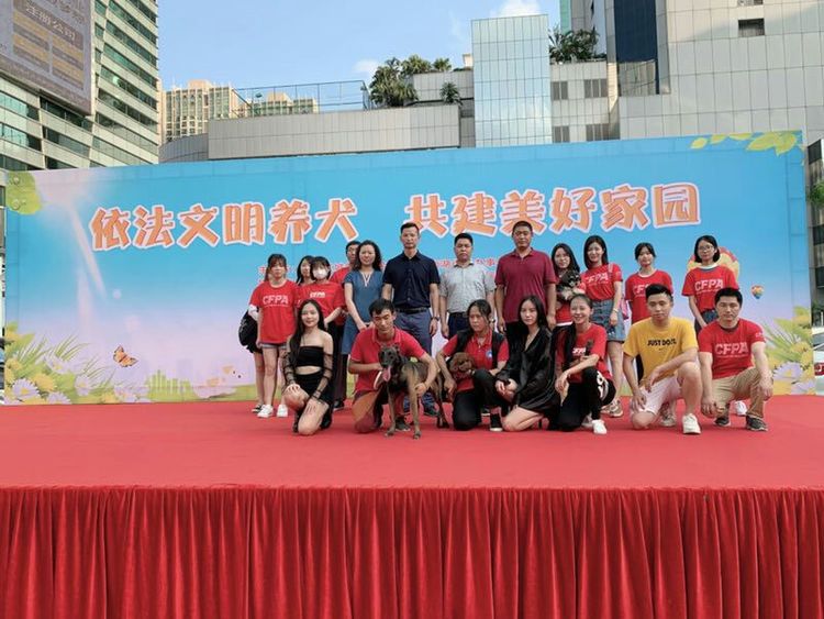 深圳市宠联小动物保护协会又一次开展了依法文明养犬，共建美好家园的大型专项宣传活动